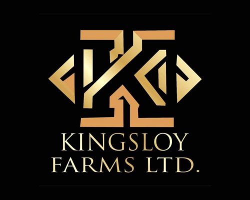 kingsloy group